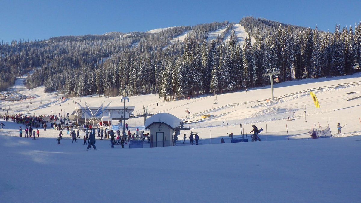 BEAR'S LAIR LODGE - Prices & Hotel Reviews (Sun Peaks, British Columbia)