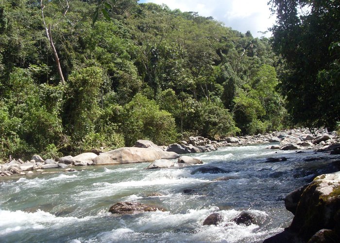 Rio Ariari