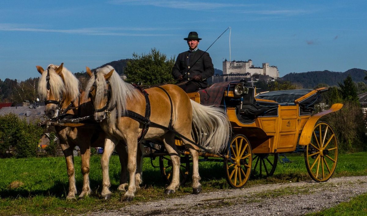 Fiaker Salzburg - Familie Winter, Зальцбург: лучшие советы перед посещением  - Tripadvisor