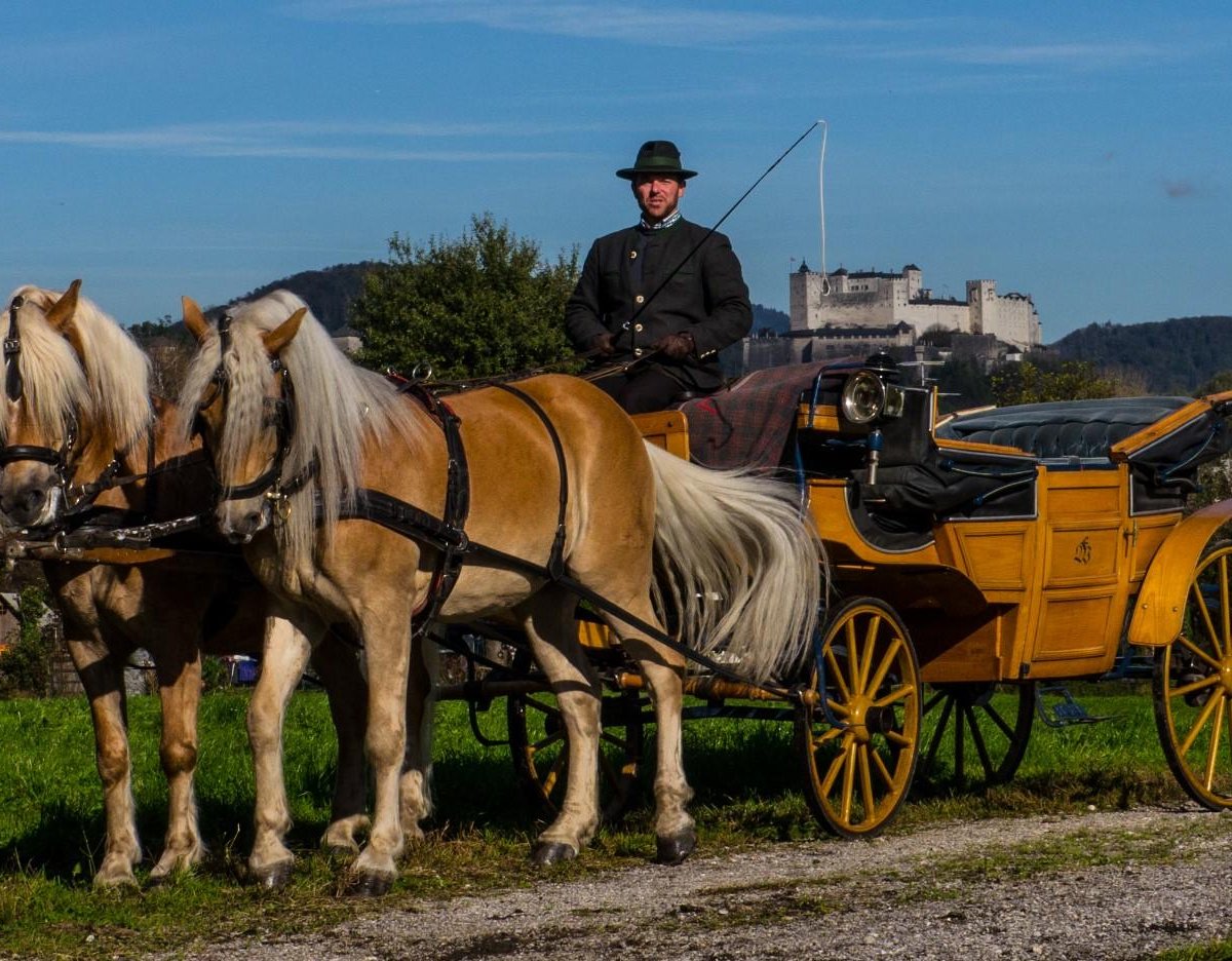 Fiaker Salzburg - Familie Winter, Зальцбург: лучшие советы перед посещением  - Tripadvisor