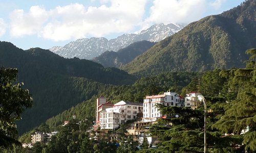Namgyal Monastery at Dalai Lama Temple Complex