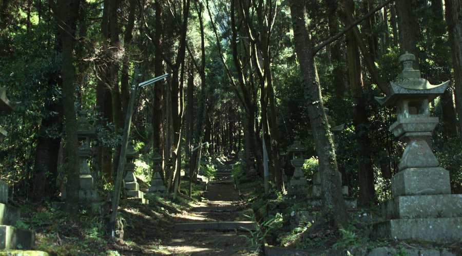 参道を上る
