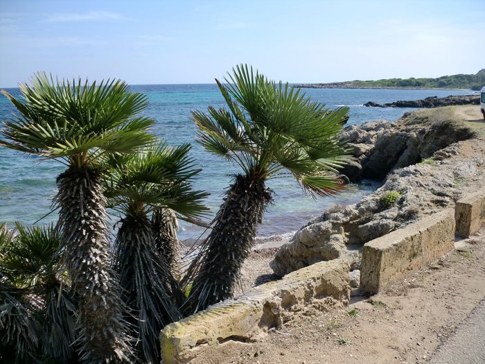 Imagen 2 de Cala Anguila