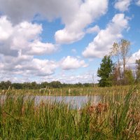 Eagle Marsh Nature Preserve - All You Need to Know BEFORE You Go (2024)