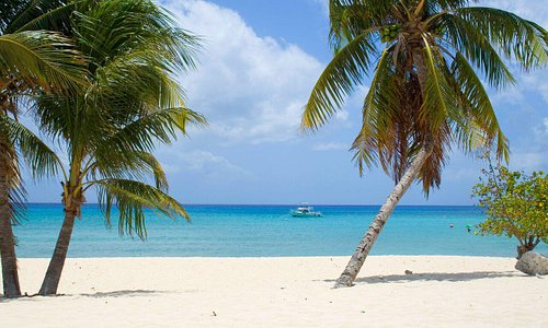 Pristine beaches of the Cayman Islands