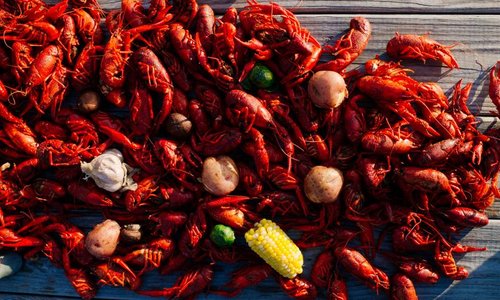 Crawfish