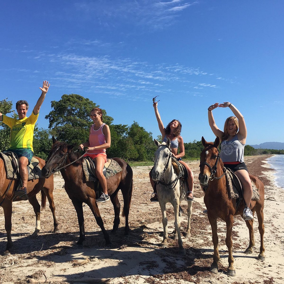 From Montego Bay or Negril: Chukka Horseback Ride and Swim