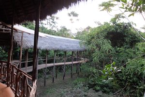 Habitación y suite