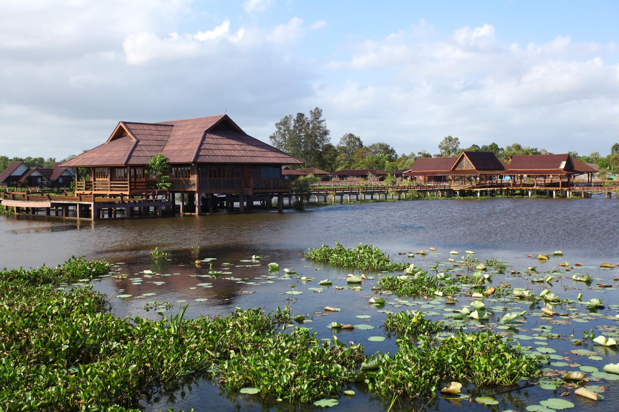 Thale Noi Waterbird Park (博他伦府) - 旅游景点点评- Tripadvisor