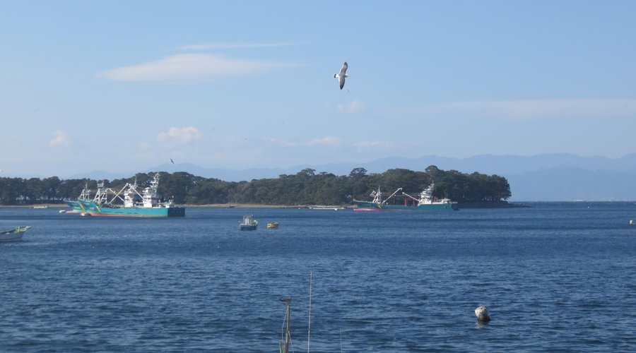 店の窓からの御浜岬・戸田港