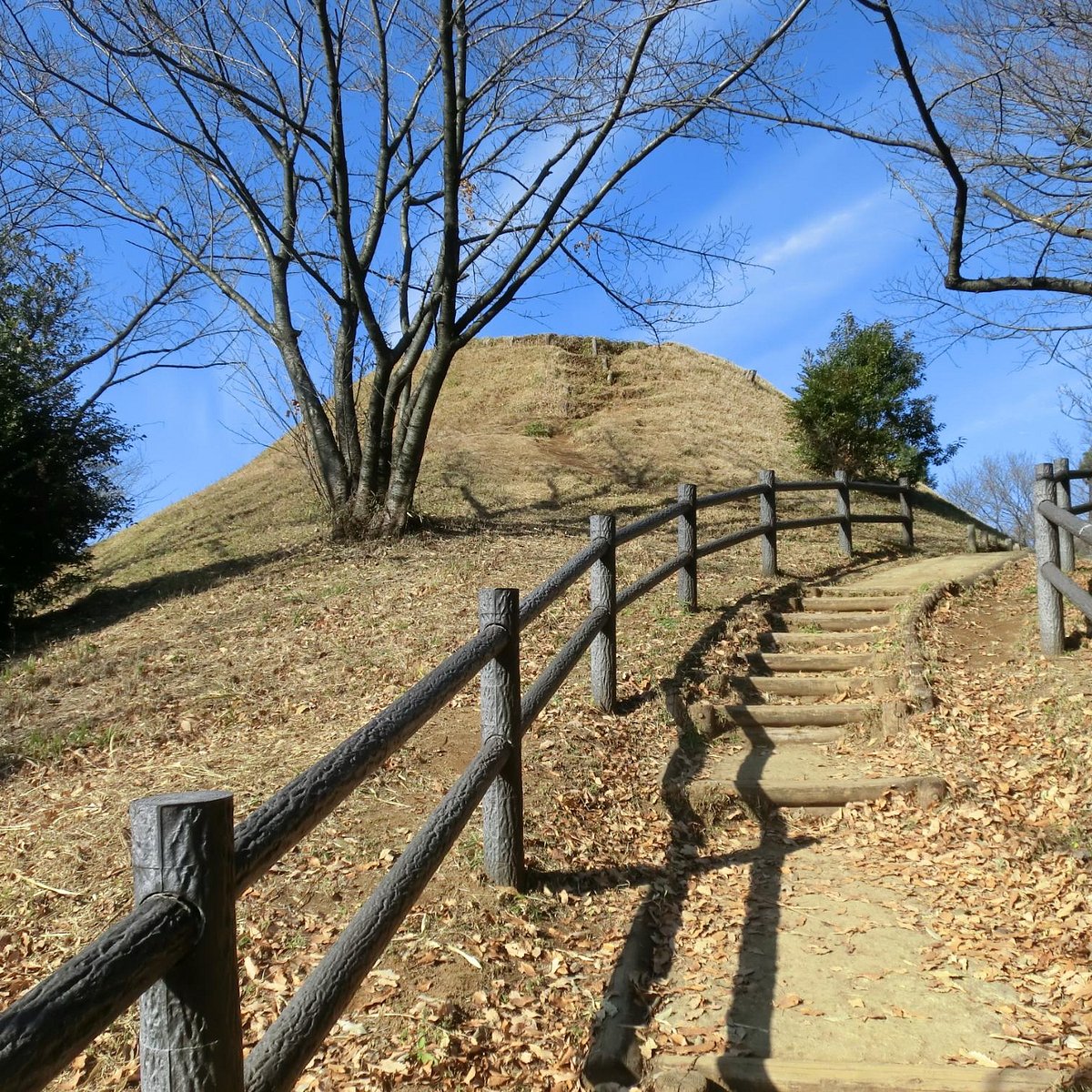 21年 山田富士公園 行く前に 見どころをチェック トリップアドバイザー 21年 山田富士公園 行く前に 見どころをチェック トリップアドバイザー