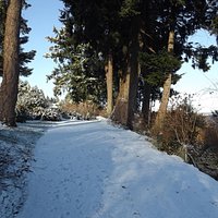 Winter on the trail
