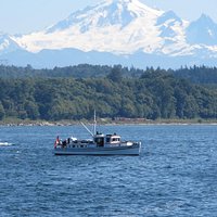 Once you get to the end of the pier Mount Baker is 50 miles to the south.