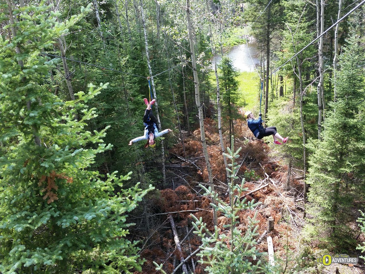 Treeosix Adventure Parks (Waskesiu Lake) - All You Need to Know BEFORE ...