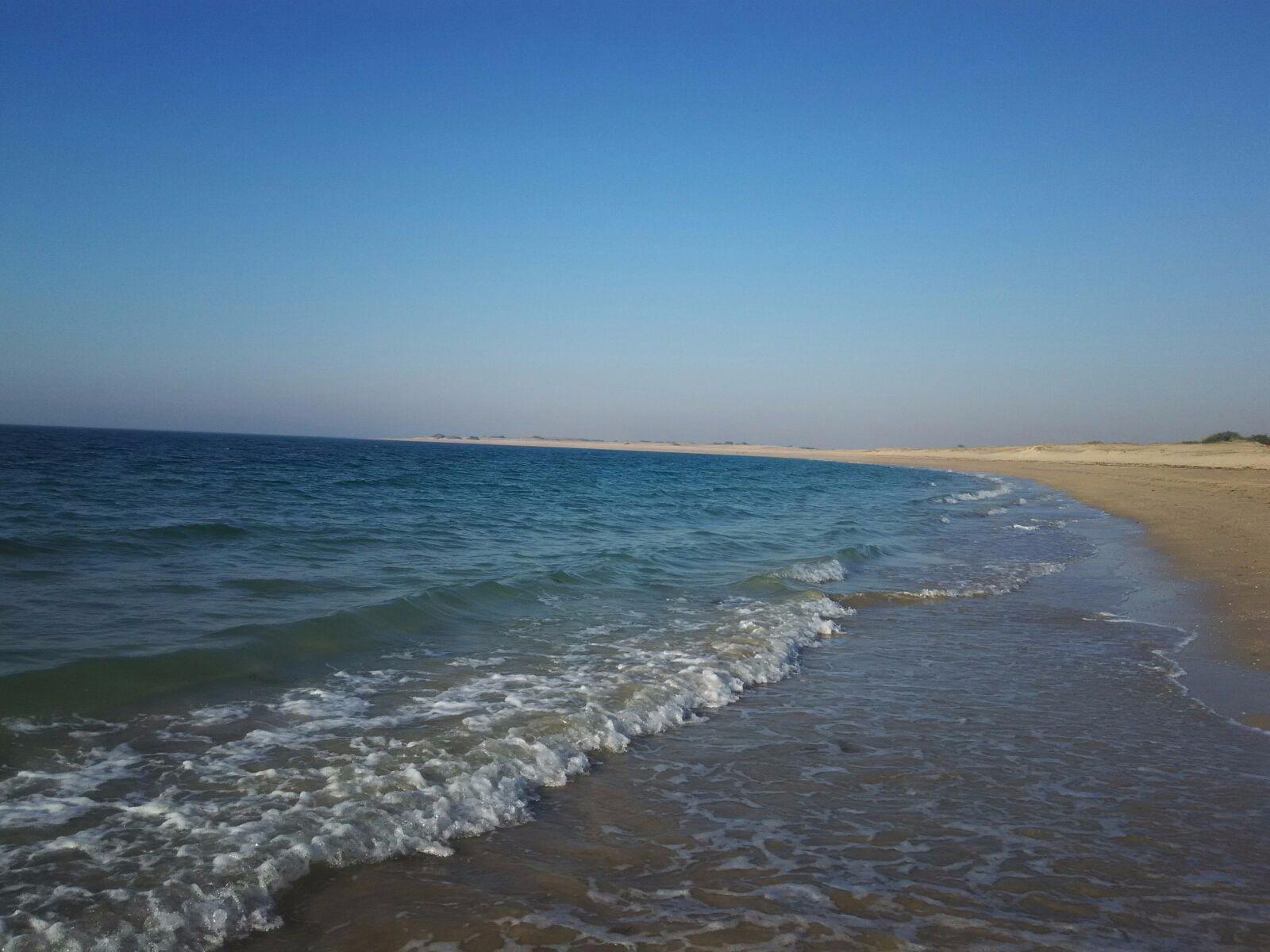 THE 10 BEST Gujarat Beaches (Updated 2024) - Tripadvisor