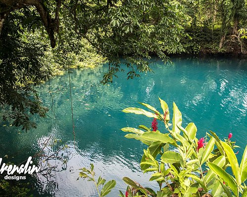 Top Things to Do in Vanuatu (with Photos) - Tripadvisor