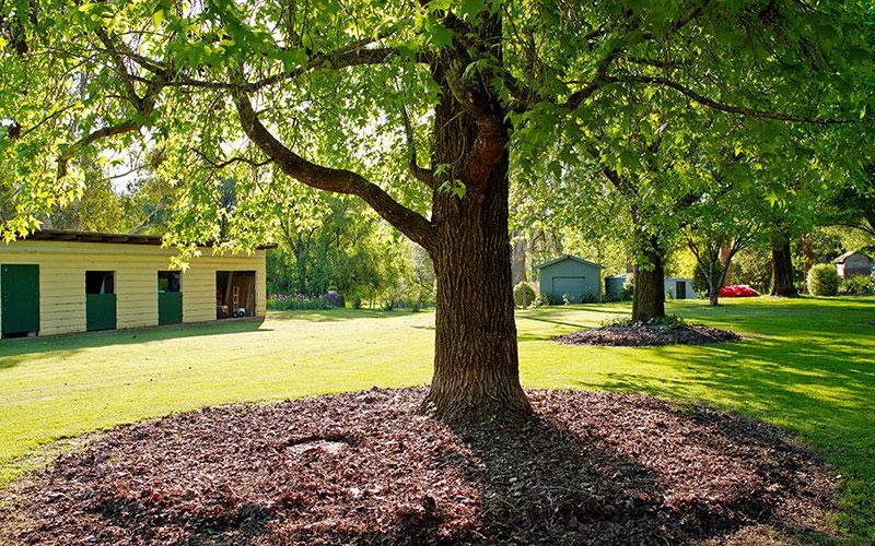 Grounds of Buffalo Motel and Country Retreat
