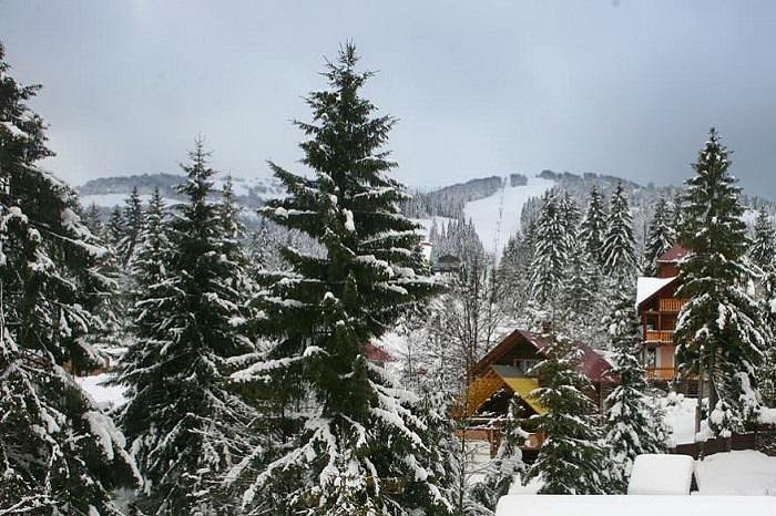 Ski Resort Pylypets image