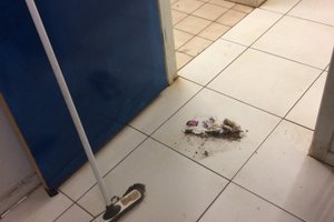 旅行者の写真