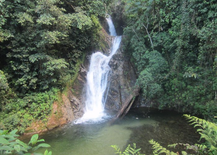 Catarata Cristal | Satipo - Junín- Perú | Selva Central | Turismo y Viajes | Y tú que planes? 