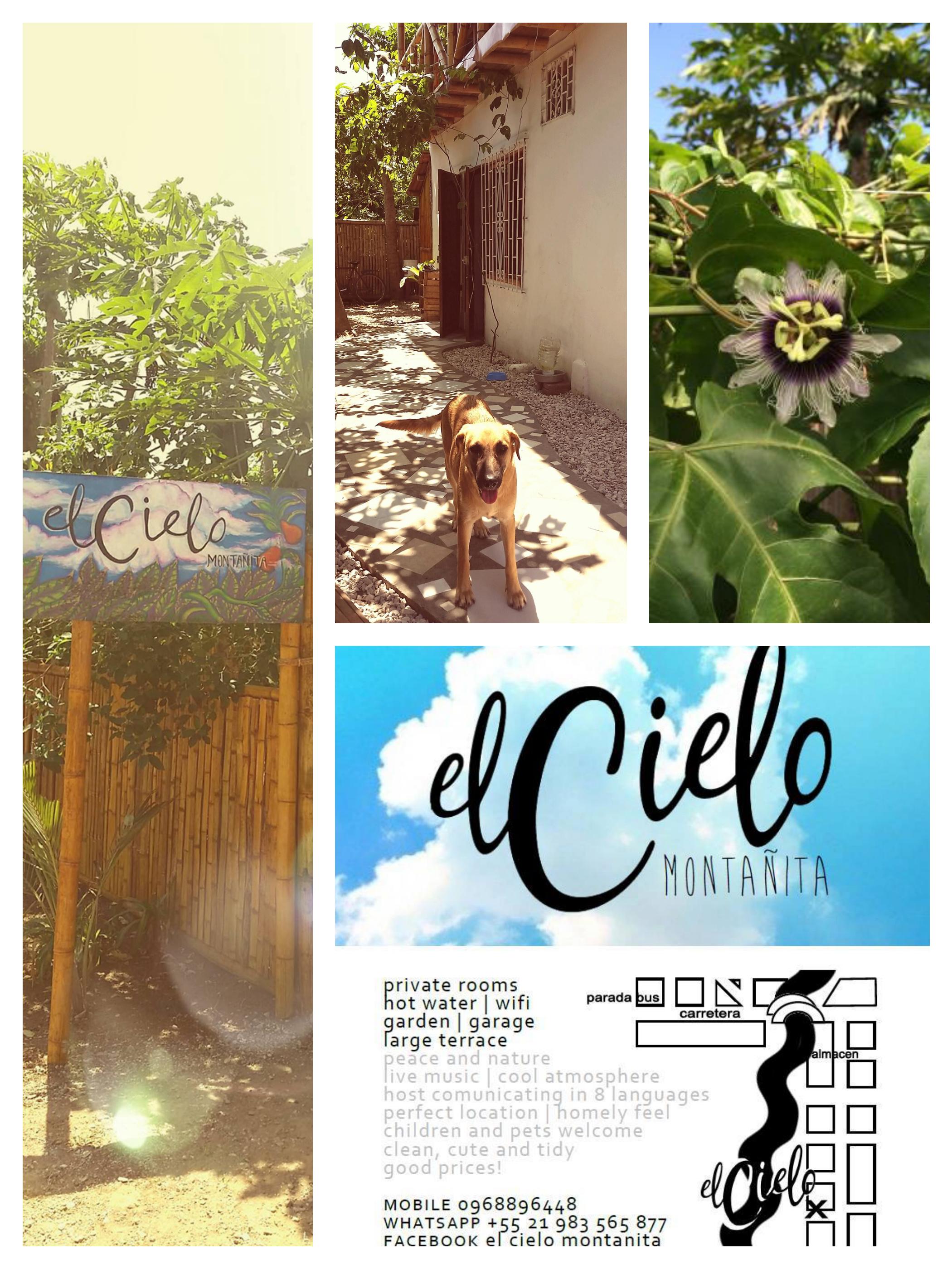 Hotel photo 35 of El Cielo.