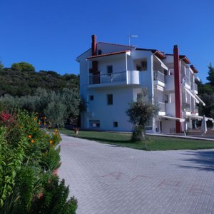 Agrelia