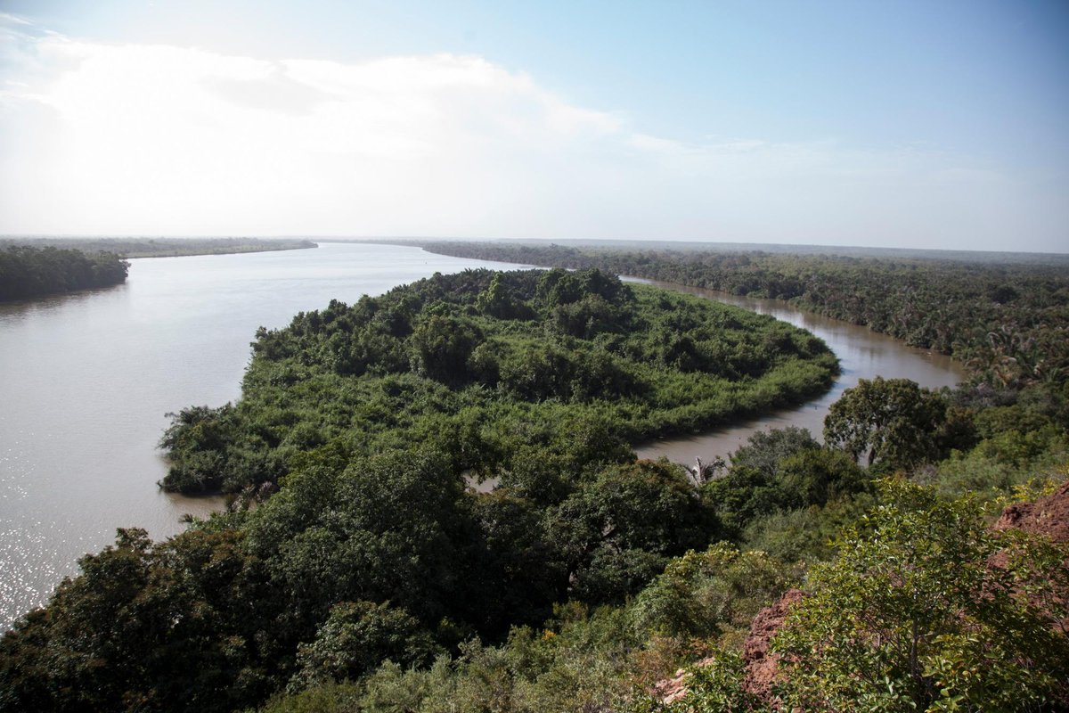 River Gambia National Park - All You Need to Know BEFORE You Go (2024)