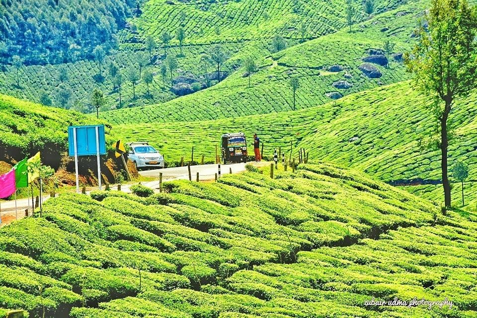 Meghamalai - High Wavy Mountains (Theni) - 2022 What to Know Before You Go (with Photos) - Tripadvisor