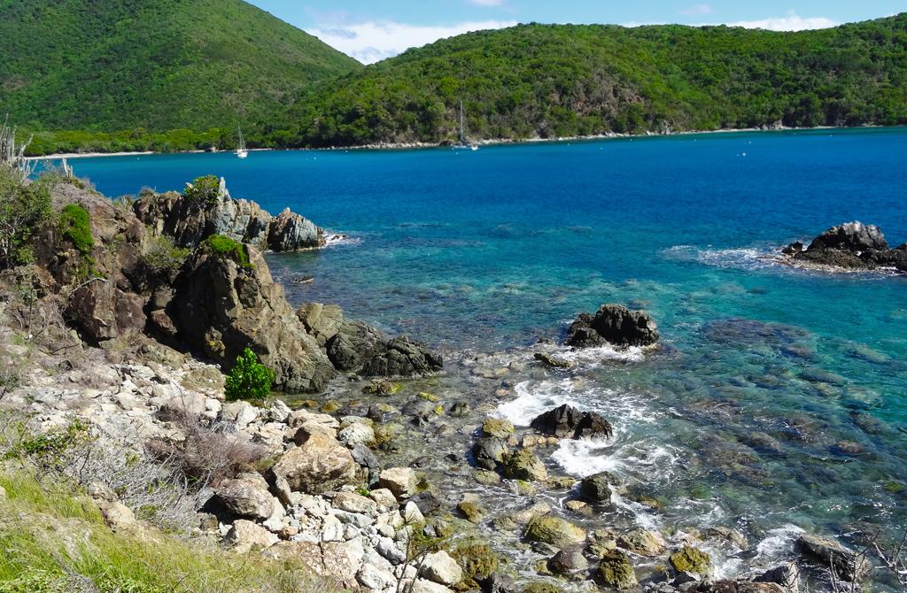 Little Lameshur Bay (2025) - All You Need to Know BEFORE You