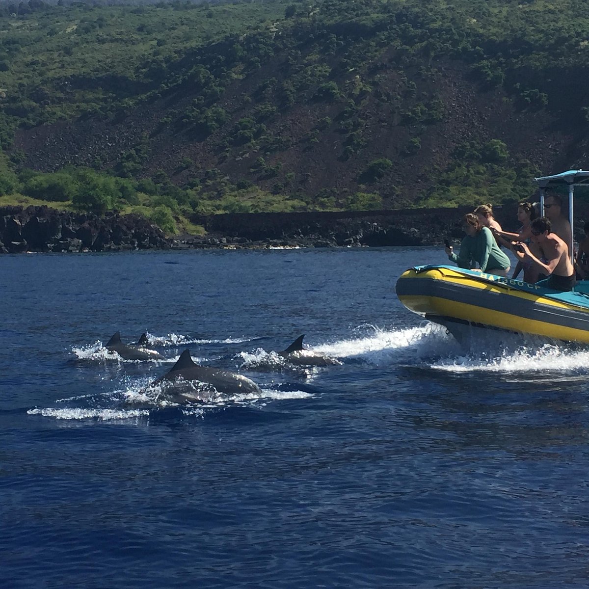 Kona Dolphin Watch Tour & Snorkeling Ocean Rafting Adventure