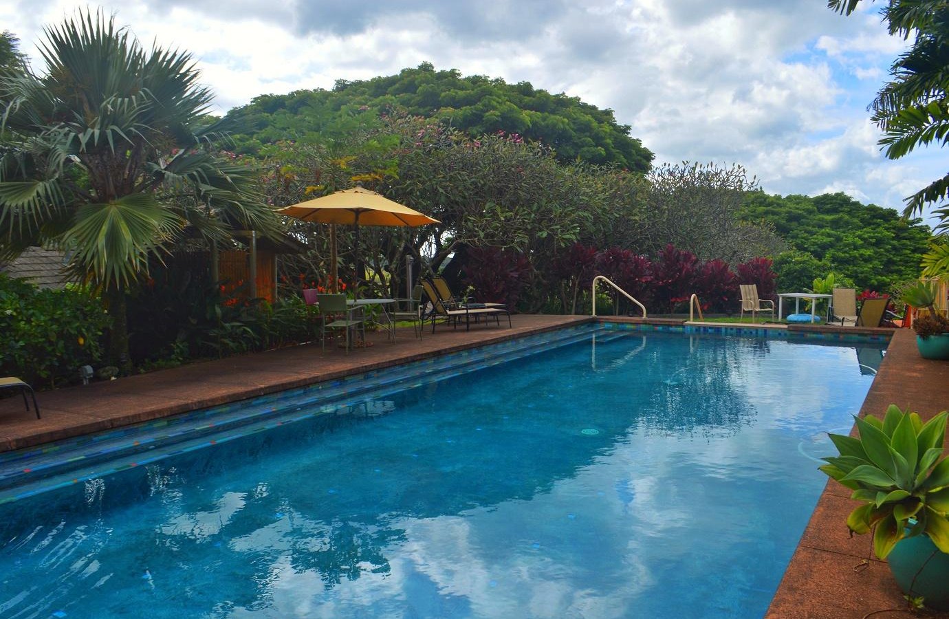 Banyan Tree Bed and Breakfast by null