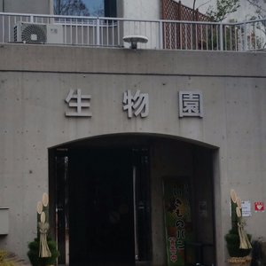 足立区10 大公园与自然景点 Tripadvisor