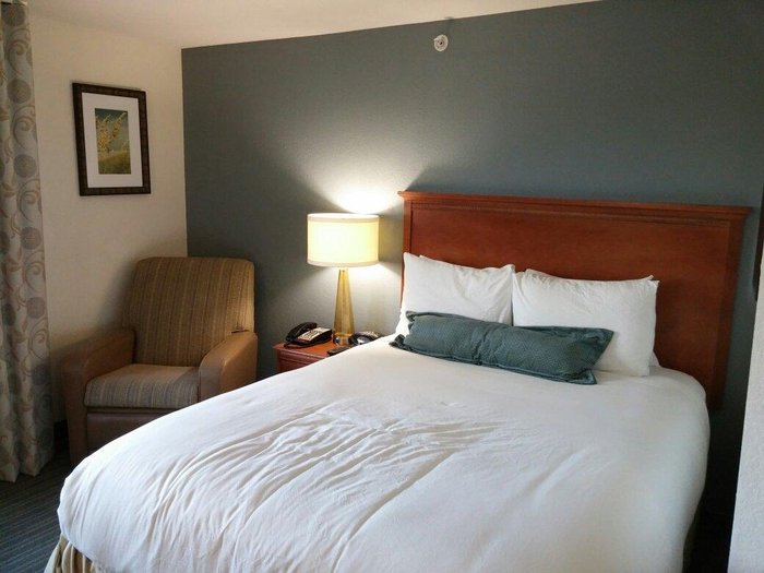 CANDLEWOOD SUITES FT. LAUDERDALE AIRPORT/CRUISE $114 ($̶1̶4̶6̶ ...