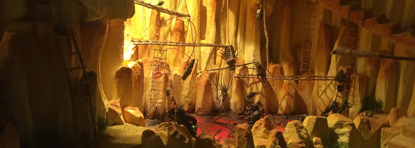 Weird bug diorama
