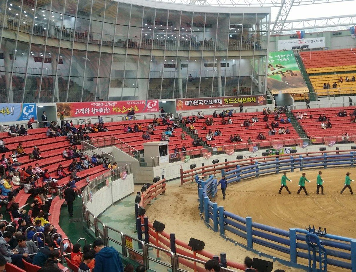 Cheongdo Bullfighting Stadium Cheongdo Gun 2022 Alles Wat U Moet