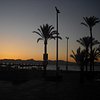 viaggiatrice892015