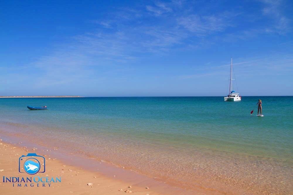 CRUISE NINGALOO (Exmouth): Ce Qu'il Faut Savoir Pour Votre Visite (avec ...