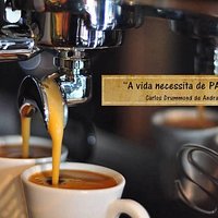 A vida necessita de Pausas...