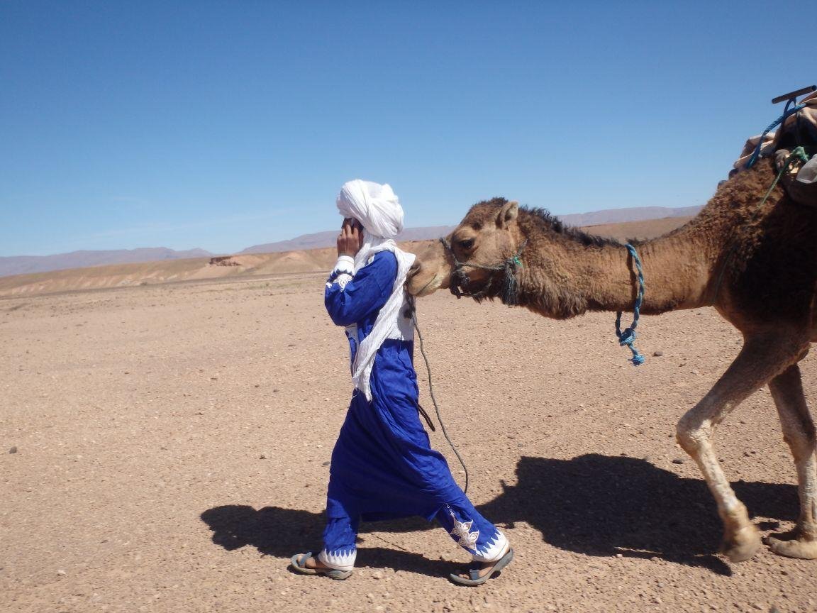 Camel Trek Morocco - All You Need To Know BEFORE You Go (2024)