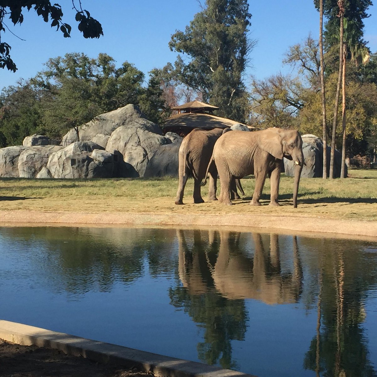 Fresno Chaffee Zoo - Fresno Chaffee Zoo Yorumları - Tripadvisor