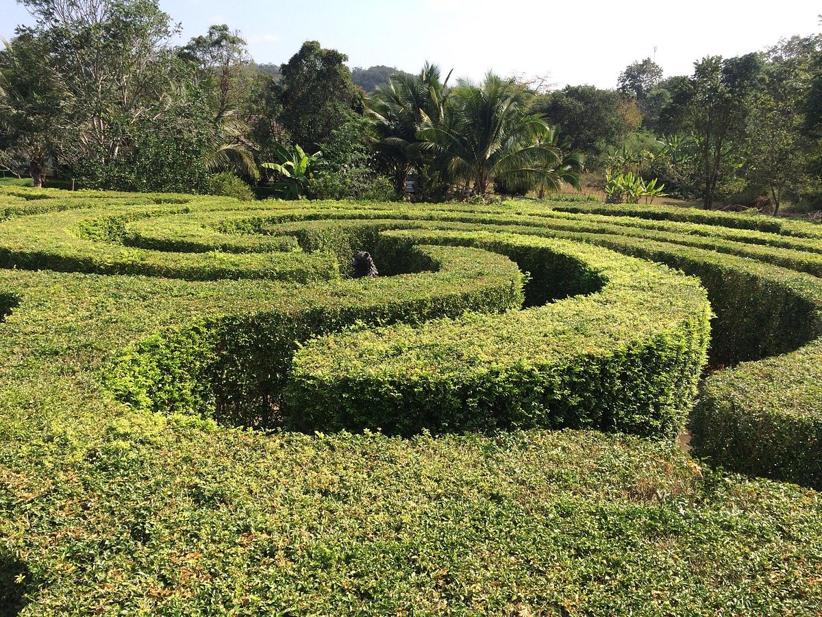 GIANT Maze Labyrinth for Dog Puppy. Can he the EXIT? 