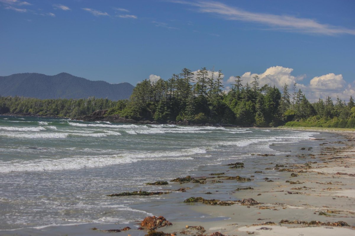 DIE TOP 10 Sehenswürdigkeiten in Tofino 2022 (mit fotos) Tripadvisor