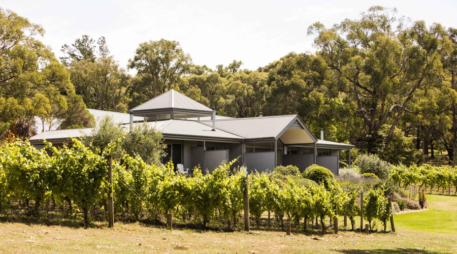 Accommodation amongst the vines