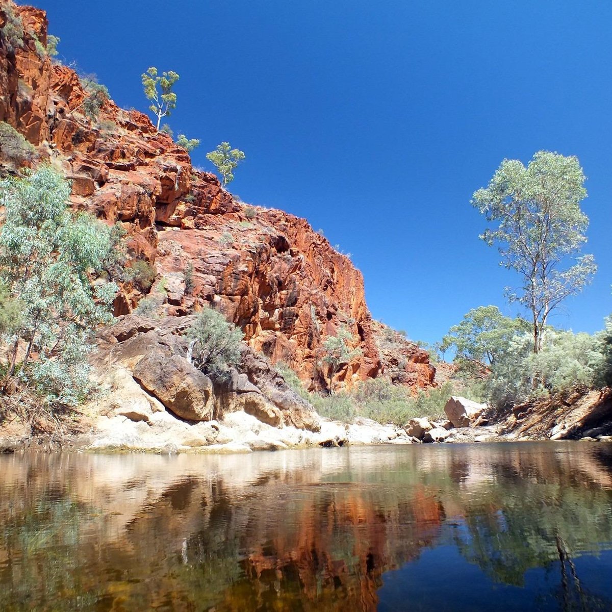 ARKAROOLA WILDERNESS SANCTUARY (2025) All You Need to Know BEFORE You ...