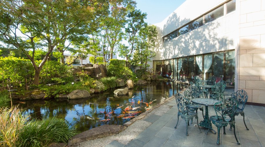 Garden at the Princess Garden