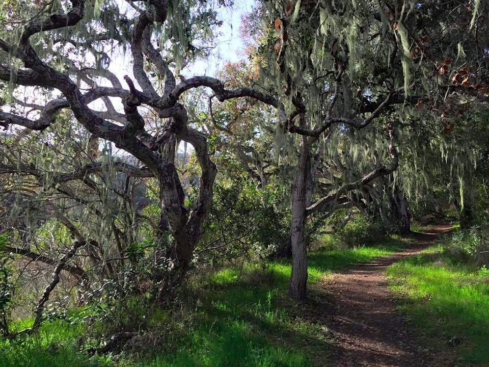 Garland Ranch Regional Park (Carmel Valley) - ATUALIZADO 2022 O que ...