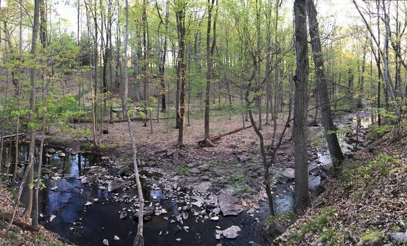 Kendall Park Nj