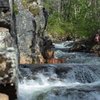 ViitasaariFinland