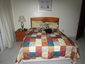 Room & Suite