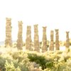 Giorgio_zgz